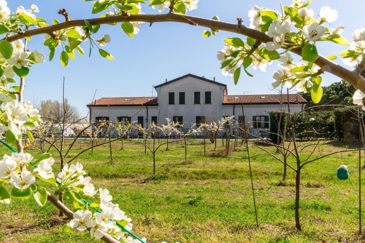 Agriturismo Ca' Baccan Кавалліно-Трепорті Екстер'єр фото