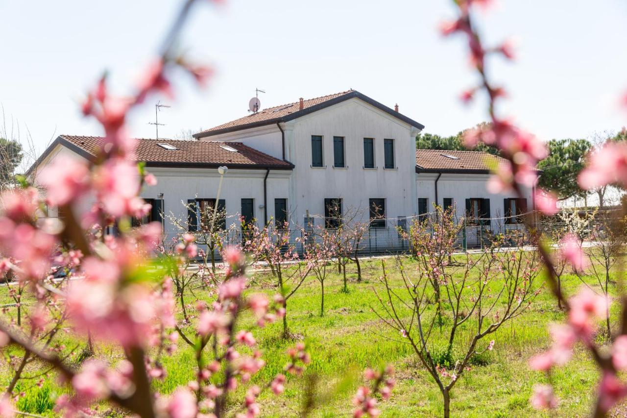 Agriturismo Ca' Baccan Кавалліно-Трепорті Екстер'єр фото